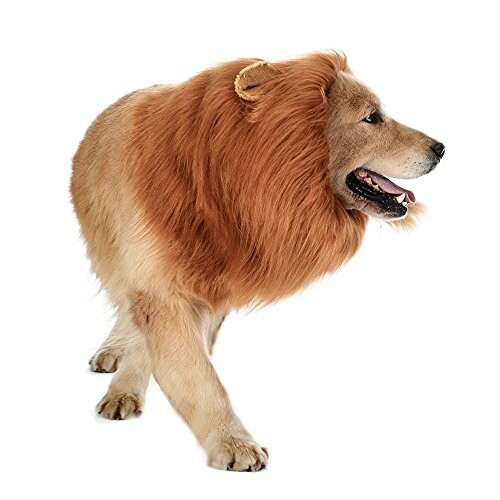 Dog wearing a lion mane costume